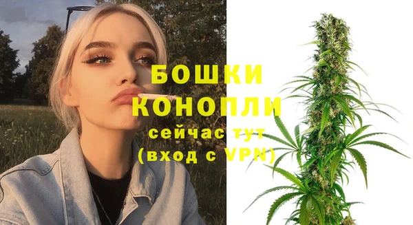mdpv Бородино