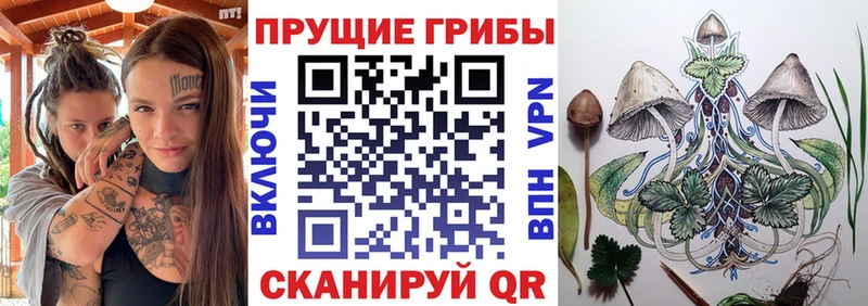 Галлюциногенные грибы мицелий  маркетплейс наркотические препараты  Переславль-Залесский  купить   kraken ONION 